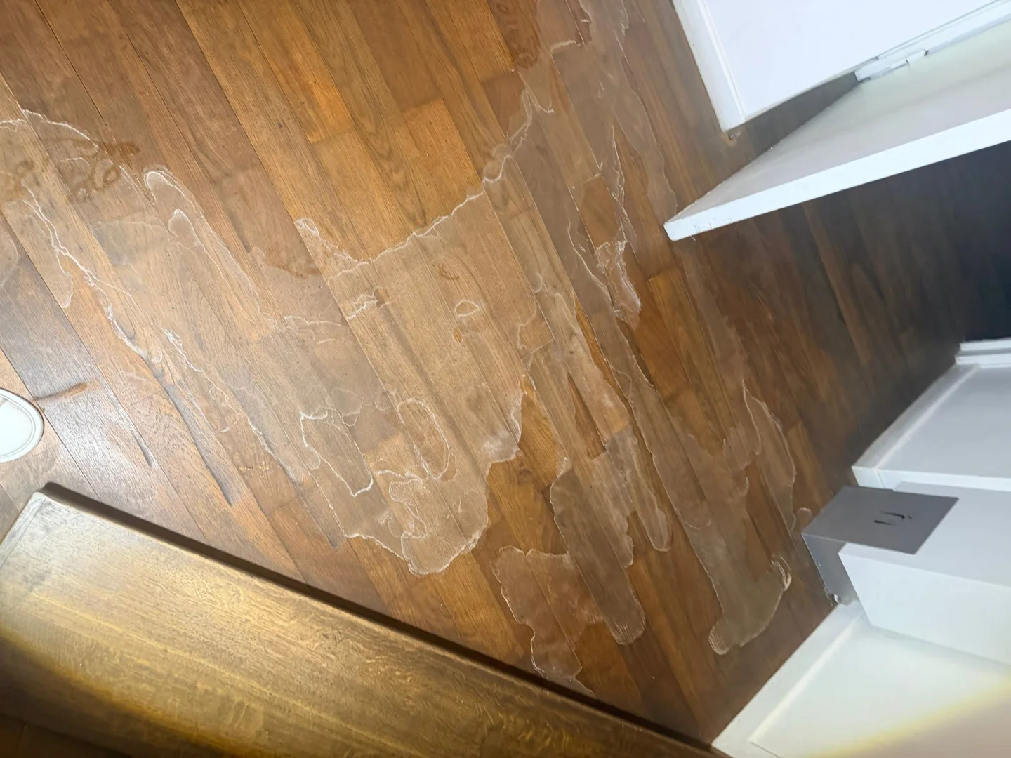 Traces d’eau sur un parquet photographiées dans un logement